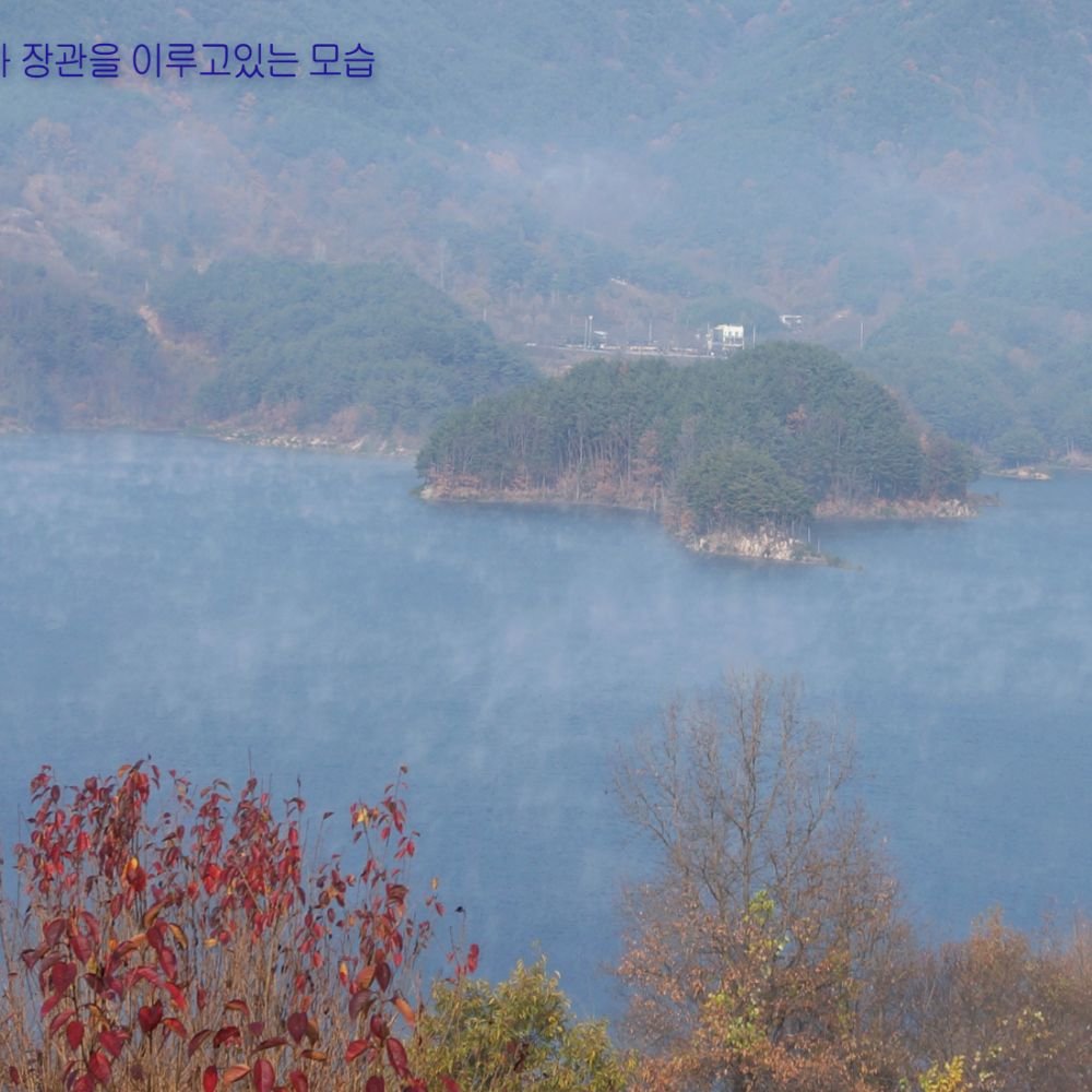 주간전경