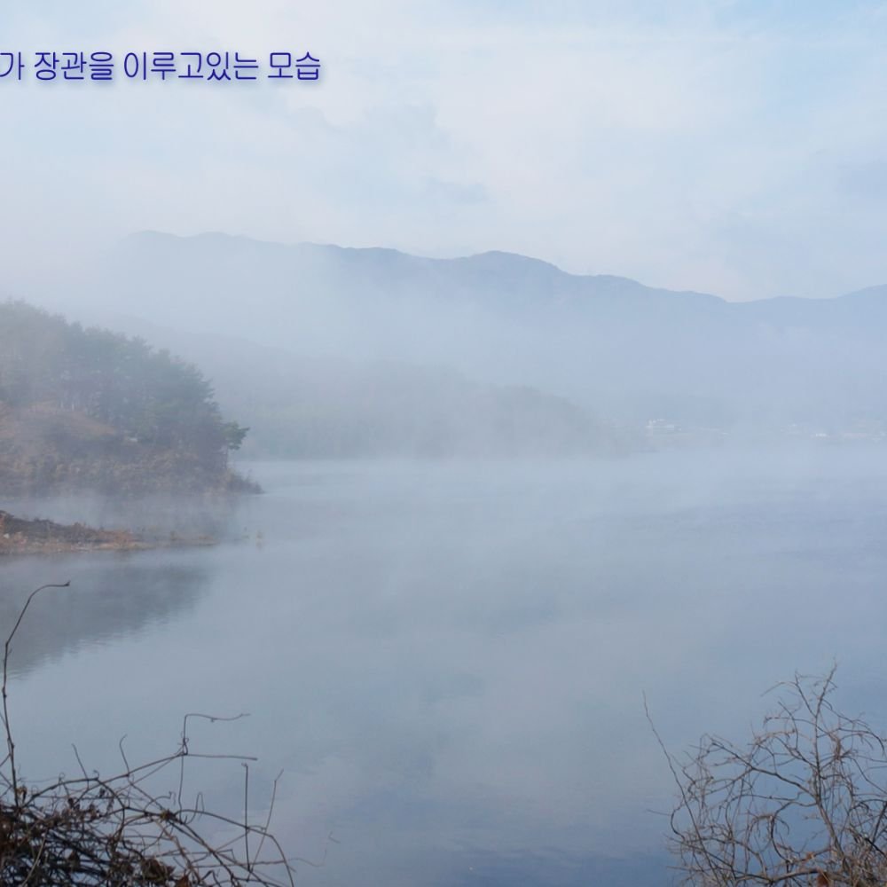 주간전경